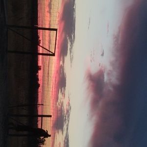 Meet your Posher, Diana